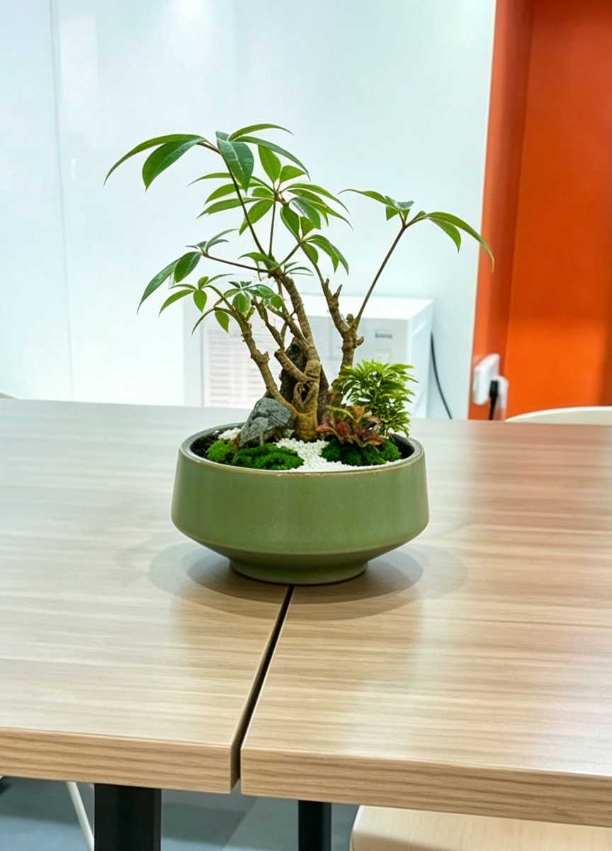 西安绿植租摆服务实景:办公区绿植摆放