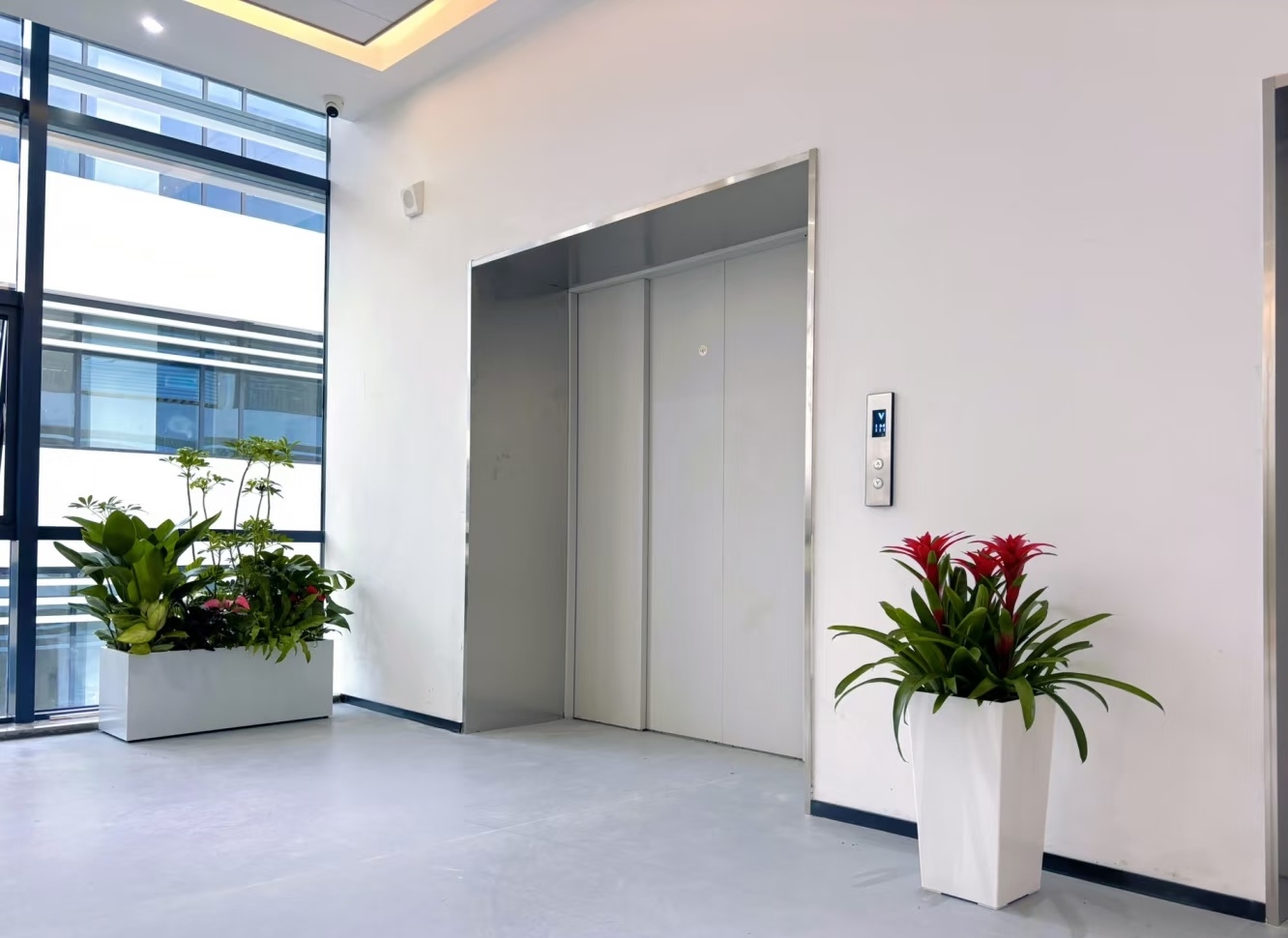 西安绿植租摆服务实景:前台绿植摆放