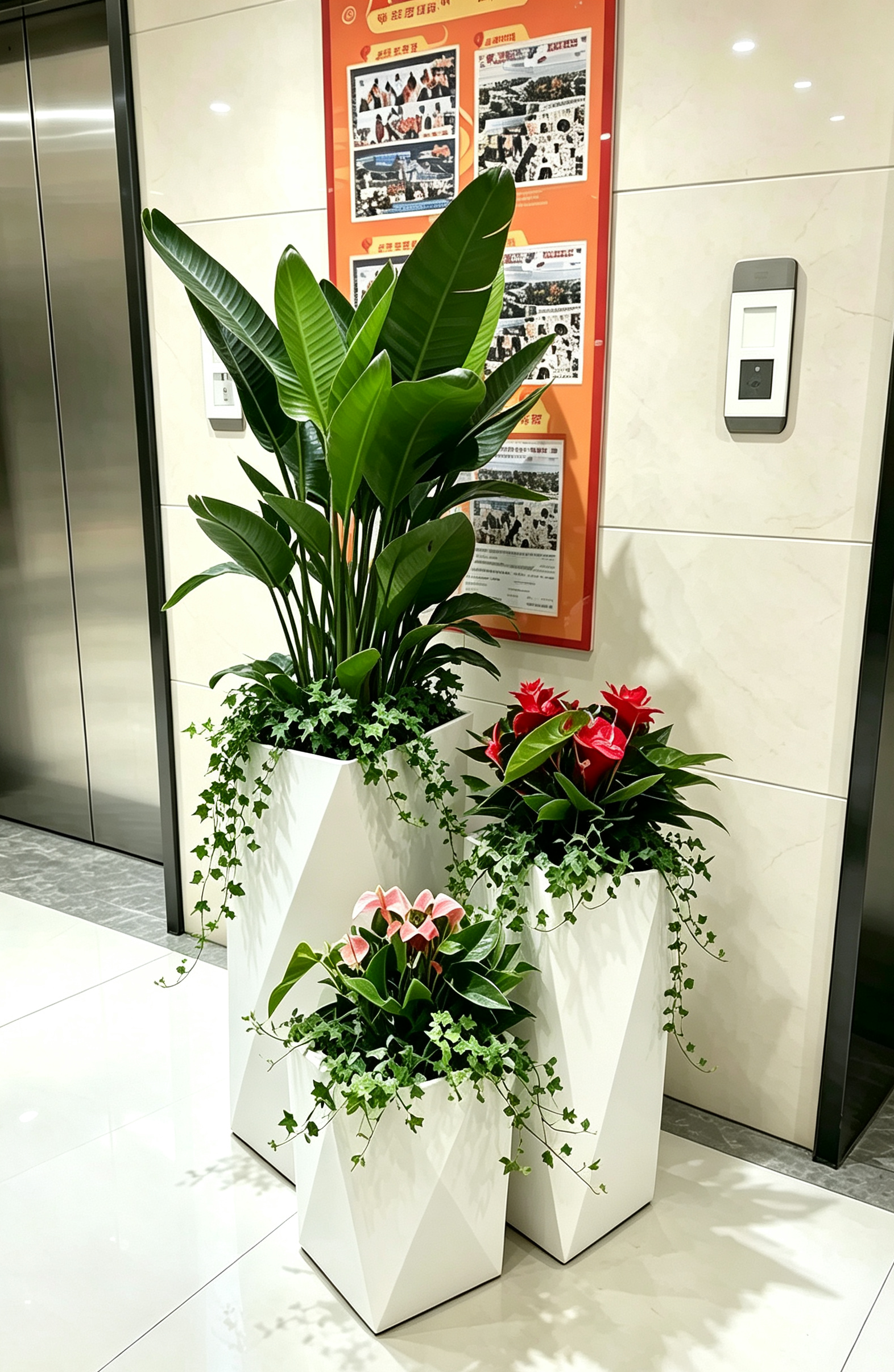 西安绿植租摆服务实景:会议室绿植租摆