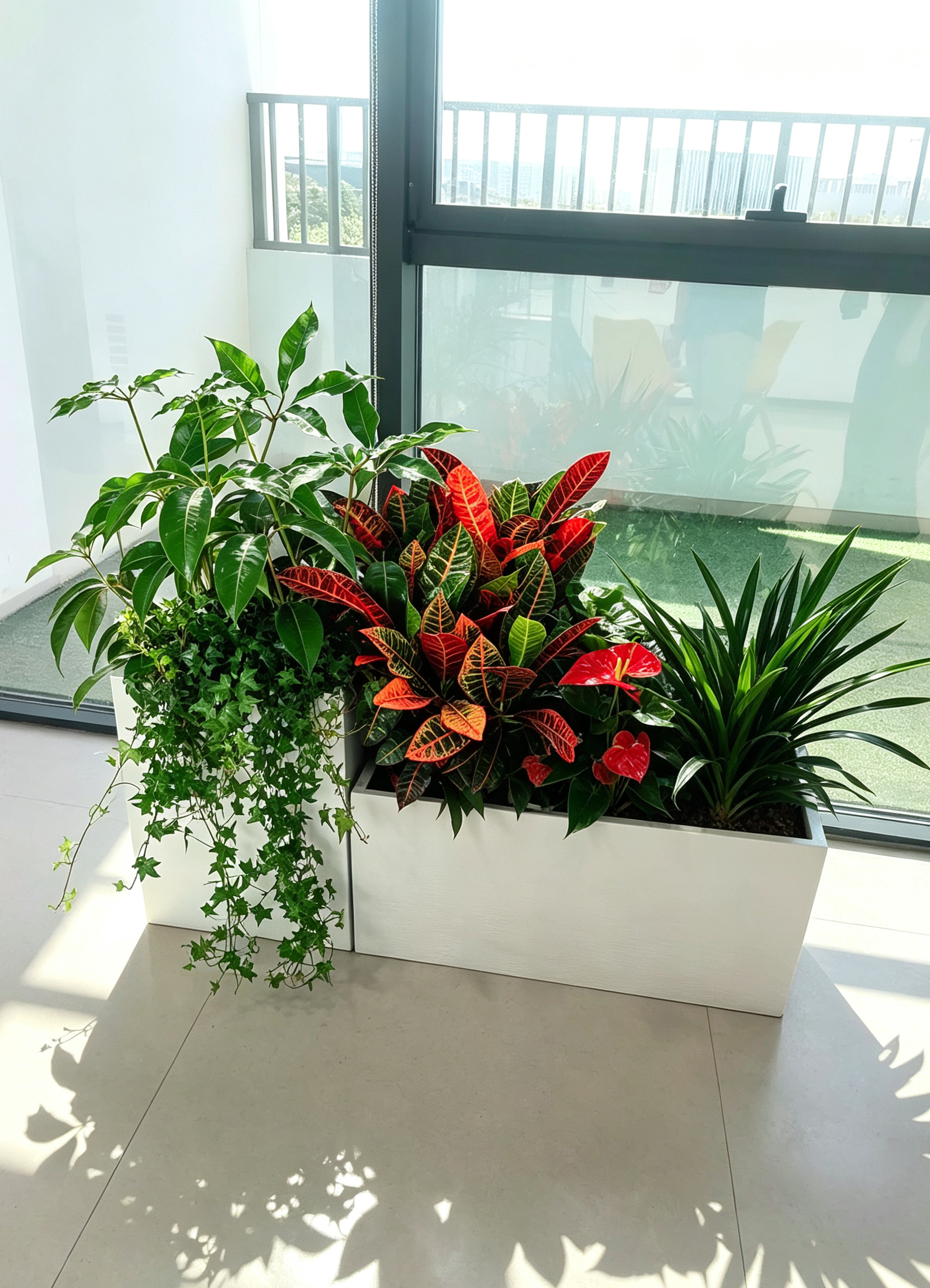 西安绿植租摆服务实景:走廊绿植摆位