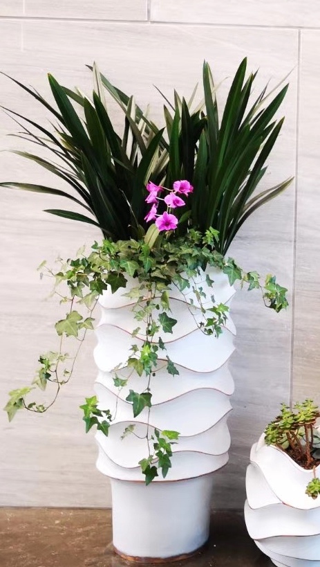 西安绿植租摆服务实景:办公工位绿植租摆